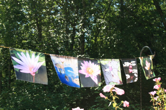 Lotus Prayer Flags