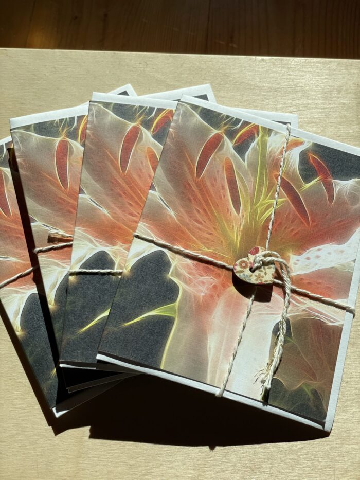 Blank Card~Apricot Stargazer Lily