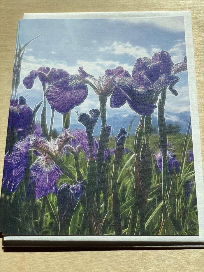 Blank Card~ Wild Iris~SOLD OUT